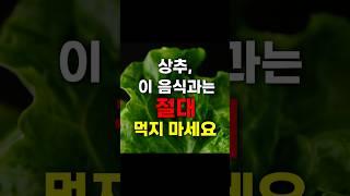 상추 절대 이음식과 먹지 마세요  #건강정보 #꿀팁