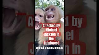 Michael Jackson - Attacked by Hungry Monkey in Rainforest🫣‍️ #Fatal #Xela #michaeljackson