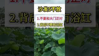 家里的沙发5不放。#生活小常识 #风水知识 #家居布局