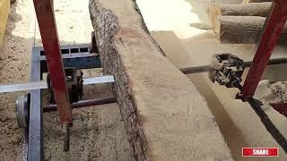 Babul wood cutting sawmill by great skills team| fantastic Babulwood cutting skills @villageboypro9885