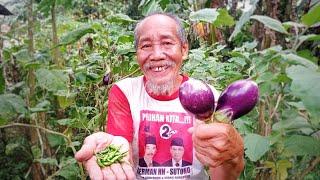 SENG GELEM MAMPIR, MBAH GAWEK NE SAMBEL TERONG BAKAR TRASI