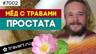 Мед с травами. Профилактика простатита. Траварт #7002 Животворец Андрей Протопопов