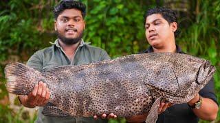 22 Kg Hamour Fish Cooked Into 7 Dishes | Fish Onam Sadhya | Fish On Charcoals |