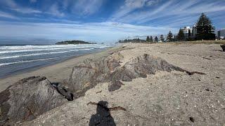 Mt Maunganui Beach ReportThursday Live from New Zealand