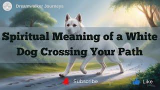 Discover the HIDDEN Spiritual Meaning of a White Dog Crossing Your Path!