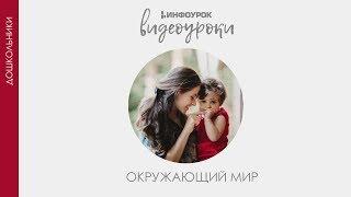 Все профессии нужны, все профессии важны | Дошкольники | Окружающий мир #30 | Инфоурок