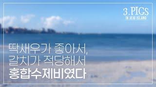 3 PIGS in JEJU-아기돼지삼형제의 제주도이야기 2편 - 딱새우가 좋아서, 갈치가 적당해서 홍합수제비였다[함께해요리]아기돼지삼형제의 좌우충돌 요리대행진!