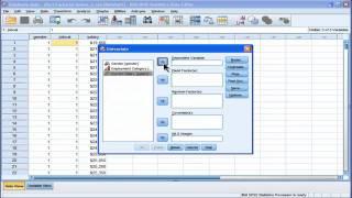Two Way ANOVA - SPSS (part 1)