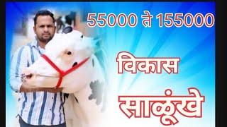 55000 ते 155000