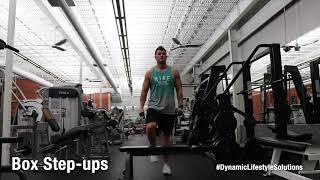 Dynamic Lifestyle Solutions - Box Step Ups