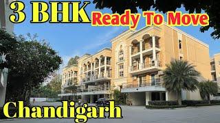 Omaxe 3 Bhk Flats New Chandigarh || Omaxe New Chandigarh