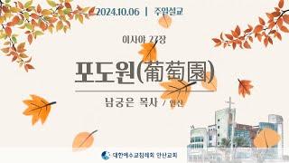 [주일설교] 포도원(葡萄園) _ 남궁은목사 24.10.06