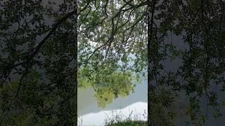 강(江), 섬(島), 수풀(林)...그리고 我 | #camping #nature #riverside