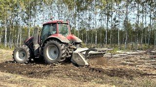 Farmer clearing fallow land. Valtra 235 tractor with Niubo TDD mulcher