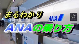 2024年に向け変わり続けるANAの乗り方を予約から搭乗までまるごとご紹介 【飛行機 国内線 全日空】