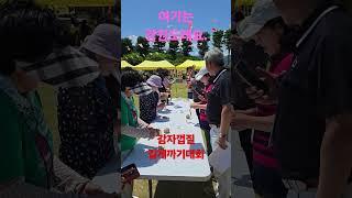 강원특별자치도. 강원엔이런놀이가. 최고의특산물.#감자껍질길게까기.
