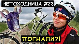 ПОЕХАЛА НА ДАЧУ И ВОТ ЧТО СЛУЧИЛОСЬ...НЕПОХОДНИЦА.