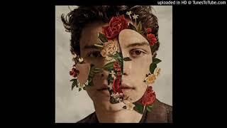 Shawn Mendes feat. Khalid-Youth