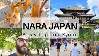 How to Take a Day Trip to Nara from Kyoto, Japan (#7)