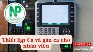 Thiết lập ca và gán ca cho nhân viên trên phần mềm chấm công | Ngoc Phat Solutions