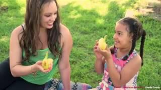 About Nutrition at CCE Oneida