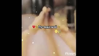 ️ путярди шэй ️