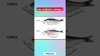Выбираем селедку  #селёдка #reels #shorts