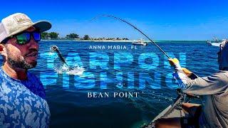 Anna Maria Tarpon Fishing Bean Point Florida Catching Silver Kings on Pass Crabs