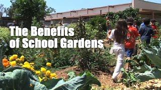 The Benefits of School Gardens