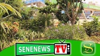 SeneNews TV- Fleuristes sur la VDN