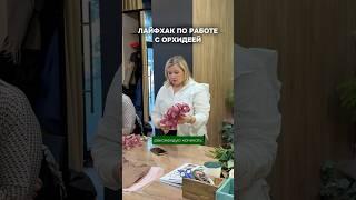 Один стебель орхидеи = два роскошных букета! Как это возможно?