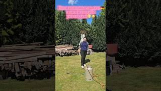 Дачный влог #deutschland #германия #надаче #дачавгермании