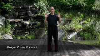 Qigong and Breast Cancer Prevention