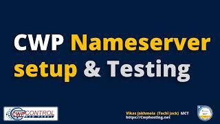 CWP Centos Control Panel DNS Setup & Testing