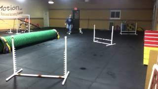 Agility Teams Training at DIM