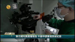 《金石財經》特朗普任命對華鷹派萊特希澤負責中美貿易談判 20181204