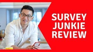 Survey Junkie Review - How Much Can You Really Earn With This Site??