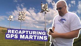 Purple Martin Research: Recapturing GPS Martins