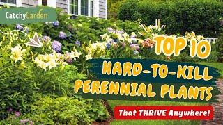 Top 10 HARD-TO-KILL Perennial Plants That THRIVE Anywhere!  // Gardening Ideas