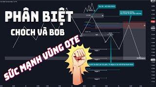 ChOCh và Bos là gì?  Cách tìm điểm entry, target, vùng hợp lưu hoàn hảo với Fibo OTE  và Order Block