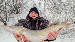 Fishing 2025 CAUGHT fish on a grabber Fishing on a grabber in winter Fishing on a float Fishing