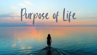 The Purpose of Life (Travel Around the World)