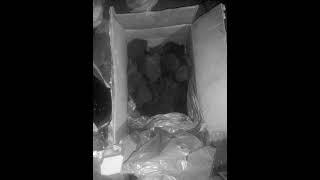 Handling Coal Shipment by Air |  Dangerous Cargo | Coal Testing | China #b2b #may #logistics #canada
