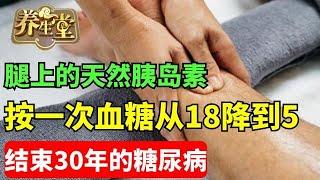 #养生堂 #健康 #养生 #中医 腿上的天然胰岛素 按一次 血糖从18降到5 结束30年糖尿病【养生堂】