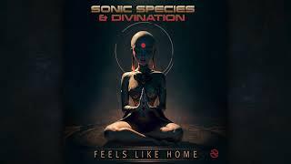 Sonic Species & Divination - Feels Like Home