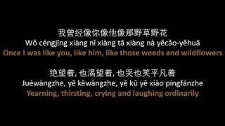 朴树 - 平凡之路 // Pu Shu - The Ordinary Road, lyrics, pinyin, English translation