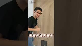 顛覆想像，只要提需求，設計師真的什麼都做得到 #臥房門片的客製化設計 #微影音#友善毛孩空間 #百玥空間設計 #interiordesign #interior #homedecor #百玥設計