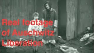 Disturbing footage of Auschwitz concentration camp liberation