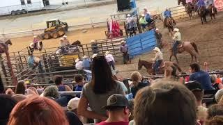 Steer wrestling at the Indiana State Fair