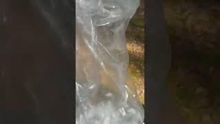 Что надо делать, чтобы грибы хорошо попадались.